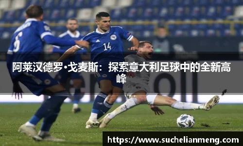 威九国际官方网站