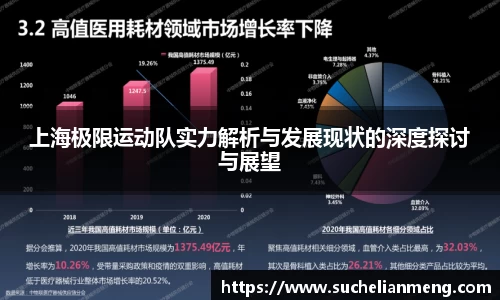 上海极限运动队实力解析与发展现状的深度探讨与展望